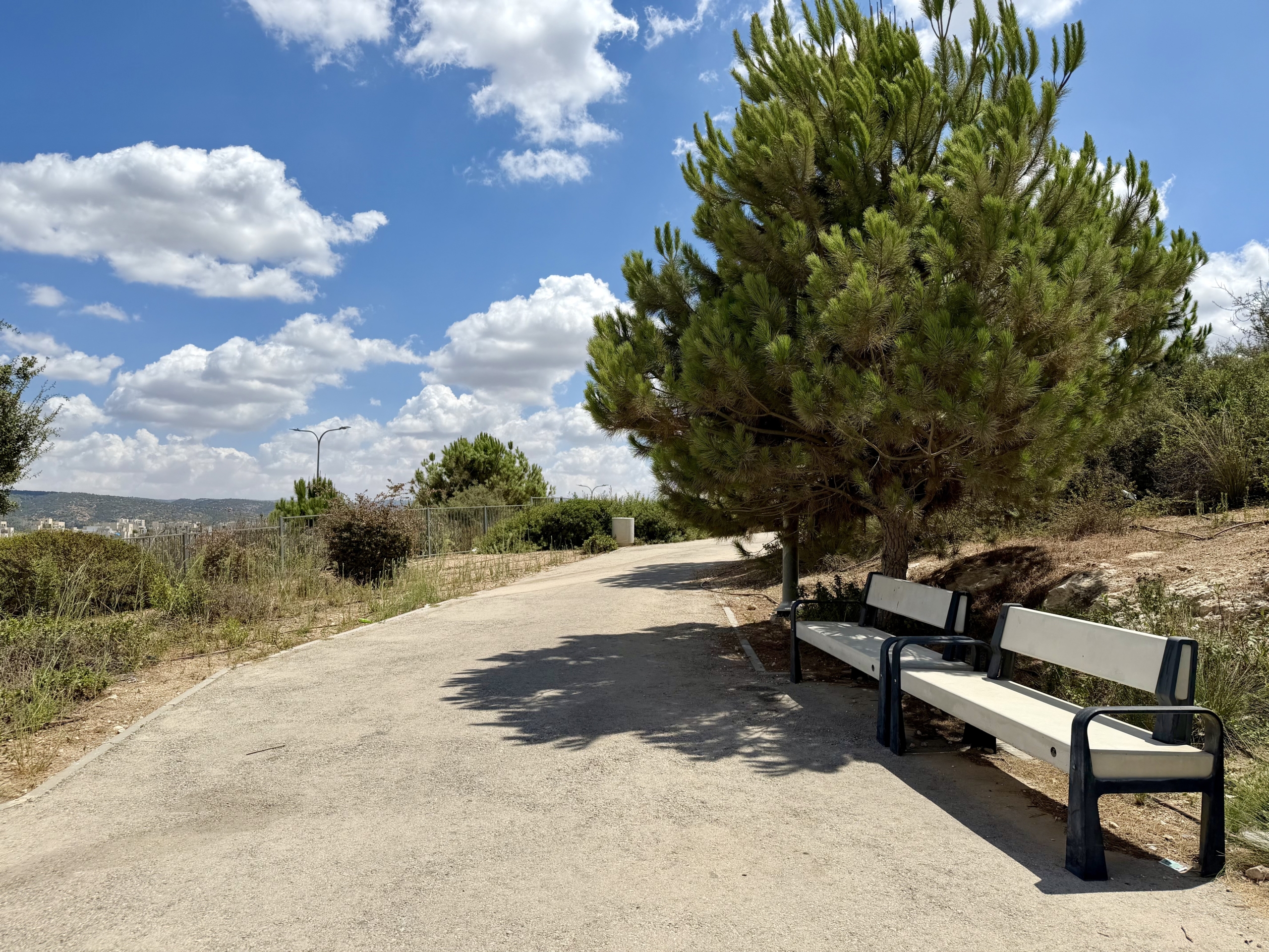 Paved walking path with benches and trees in RBS Gimmel 1.